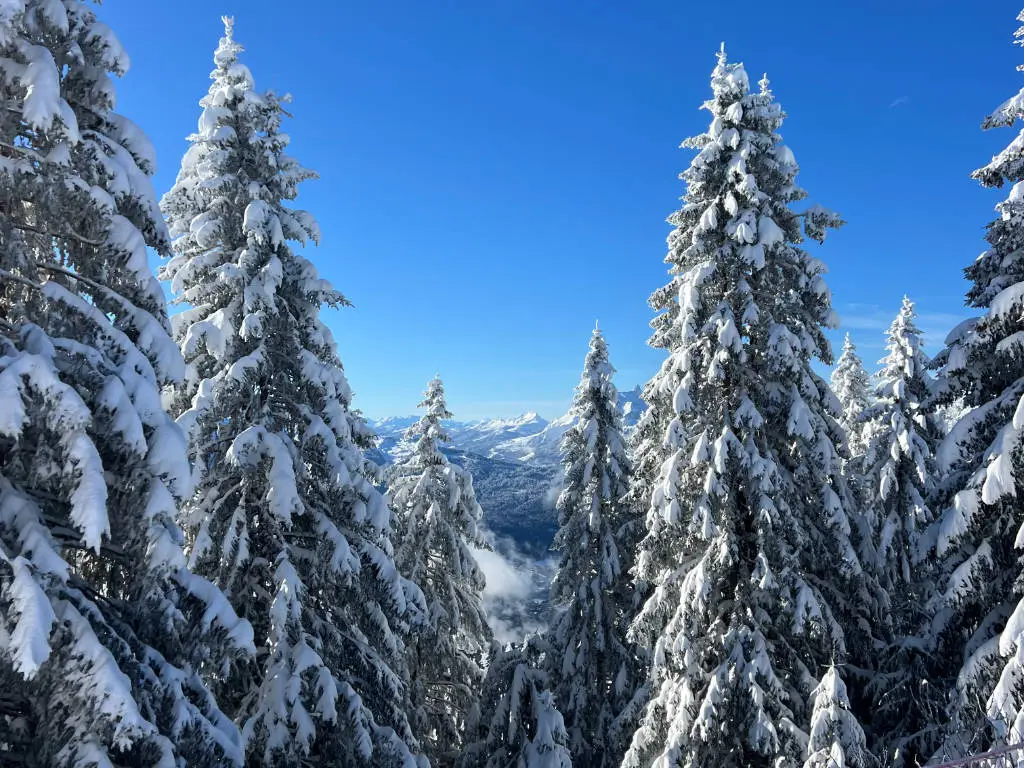 last minute ski holiday offer for valentines day
