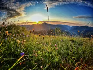 Read more about the article Exciting Summer Events In Les Gets And Morzine