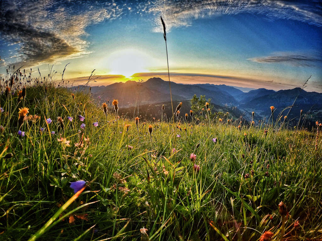 Lire la suite à propos de l’article Événements estivaux passionnants aux Gets et à Morzine