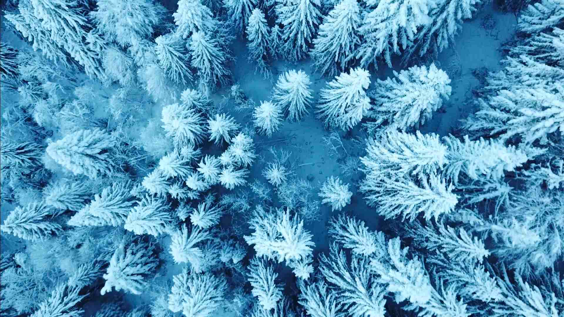 Lire la suite à propos de l’article Événements d&rsquo;hiver 2026