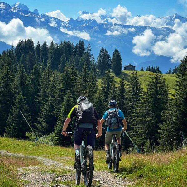 E-MTB Adventure in Les Gets, French Alps
